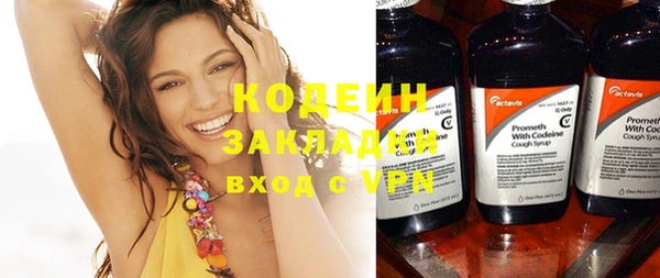 дживик Няндома