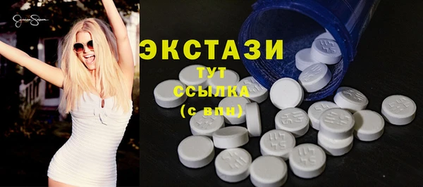 дживик Няндома
