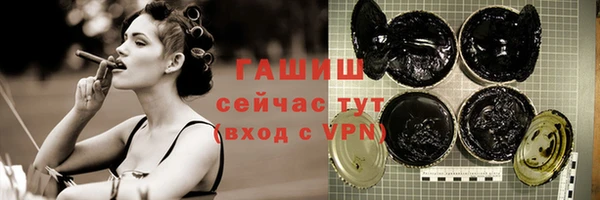 дживик Няндома
