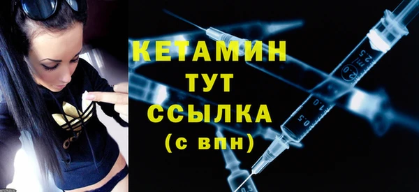 дживик Няндома