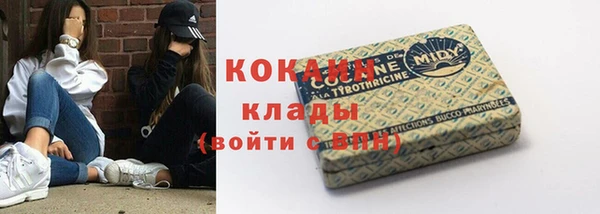 дживик Няндома