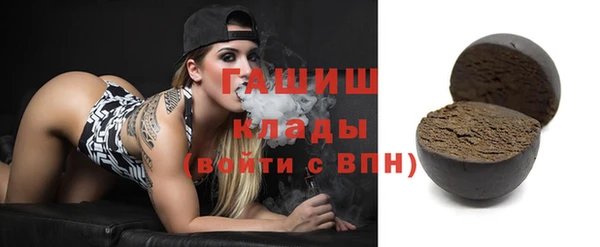 дживик Няндома