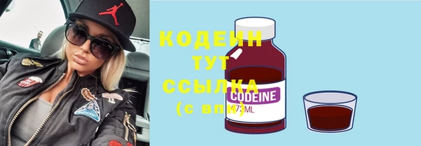 дживик Няндома