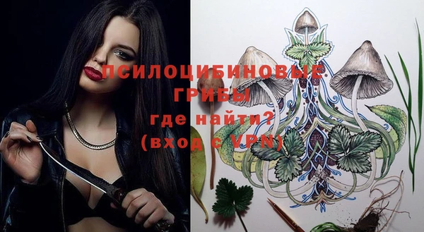 дживик Няндома