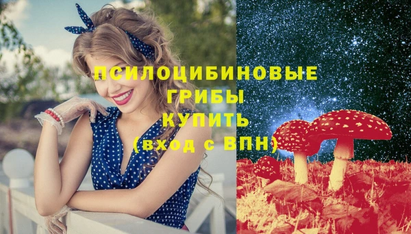 дживик Няндома
