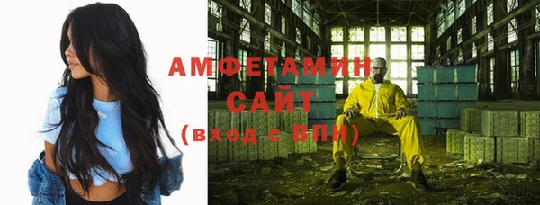 дживик Няндома