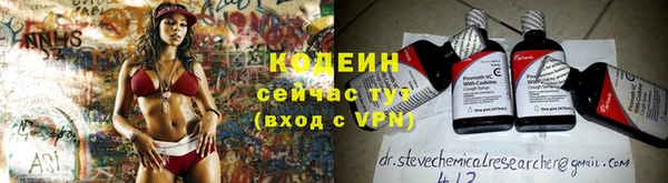 дживик Няндома
