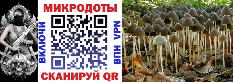 Псилоцибиновые грибы ЛСД  Купить  Усолье 